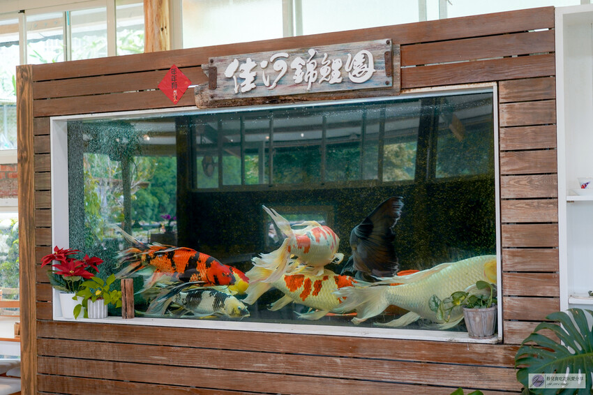 桃園市龍潭區美食，山裡的盆栽世界與錦鯉，獨特甜點等你探索。
