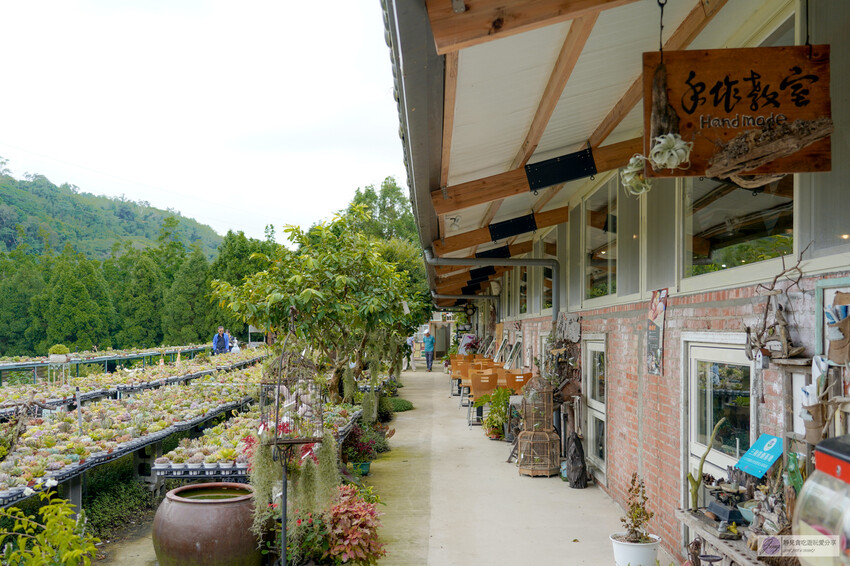 桃園市龍潭區美食，山裡的盆栽世界與錦鯉，獨特甜點等你探索。