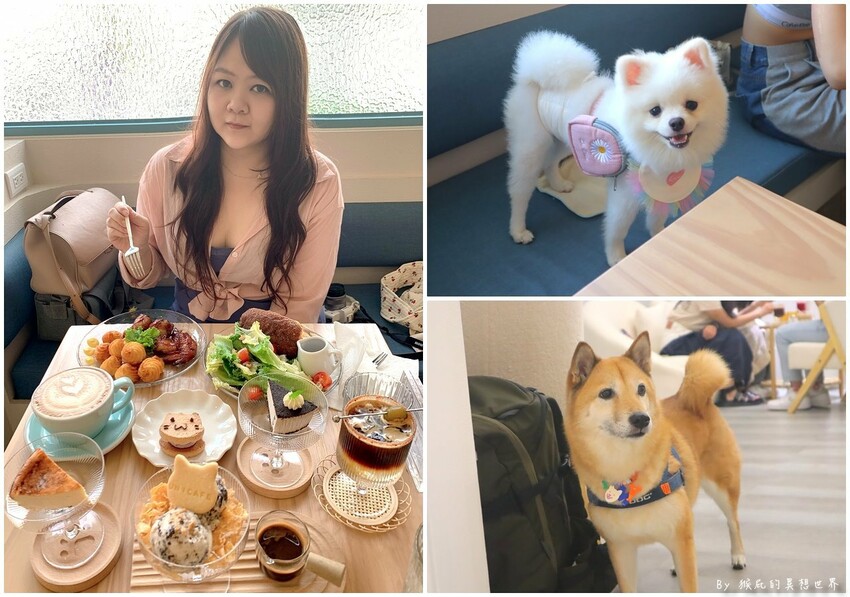 台中新開幕韓系咖啡廳就在逢甲，剛開幕就爆紅生意超好要排隊，乳酪蛋糕超好吃，寵物友善餐廳