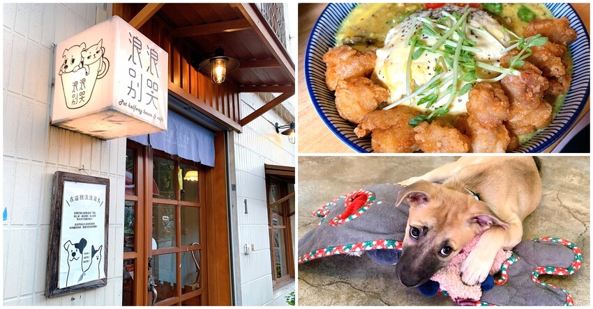 台中新開幕韓系咖啡廳就在逢甲，剛開幕就爆紅生意超好要排隊，乳酪蛋糕超好吃，寵物友善餐廳