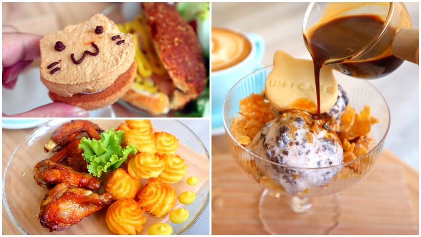 台中新開幕韓系咖啡廳就在逢甲，剛開幕就爆紅生意超好要排隊，乳酪蛋糕超好吃，寵物友善餐廳