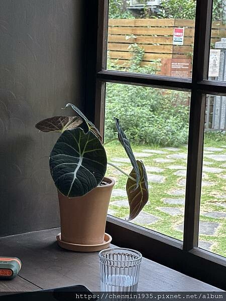 IMG_4995.JPG IMG_4995.JPG