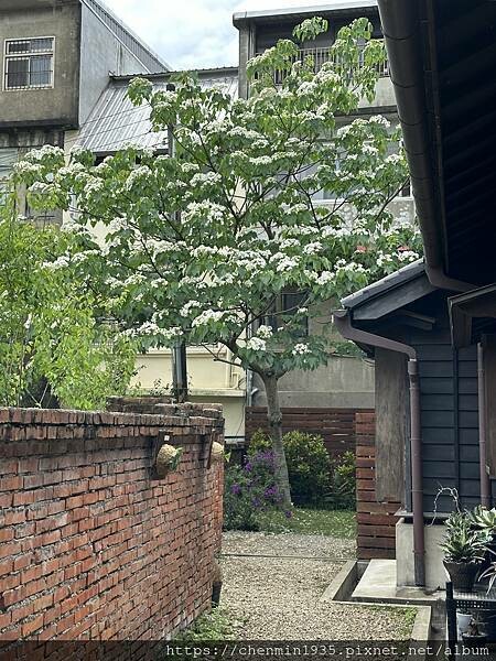 IMG_4956.JPG IMG_4956.JPG