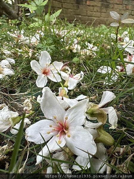 IMG_5045.JPG IMG_5045.JPG