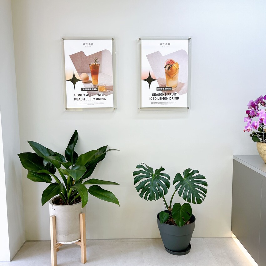 內壢新開幕飲料推薦—蒲笠茶飲,中壢嚼感茶凍再加一,口口都很喝到Q彈軟嫩的茶凍