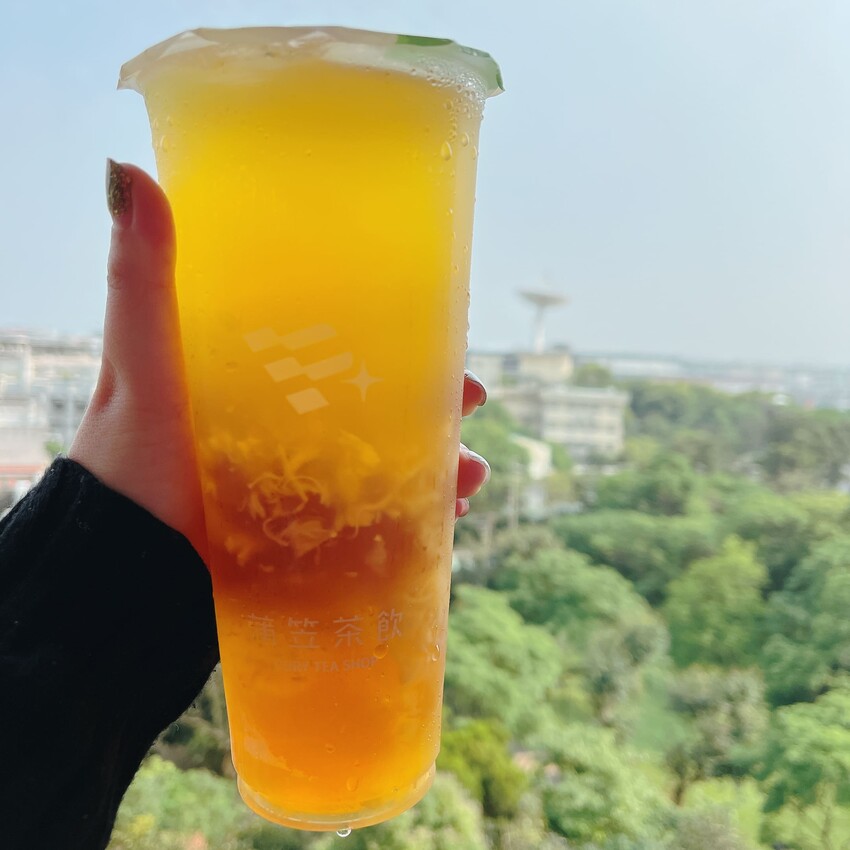 內壢新開幕飲料推薦—蒲笠茶飲,中壢嚼感茶凍再加一,口口都很喝到Q彈軟嫩的茶凍
