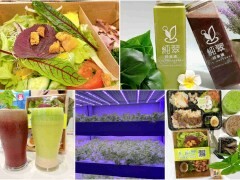 內壢新開幕飲料推薦—蒲笠茶飲,中壢嚼感茶凍再加一,口口都很喝到Q彈軟嫩的茶凍