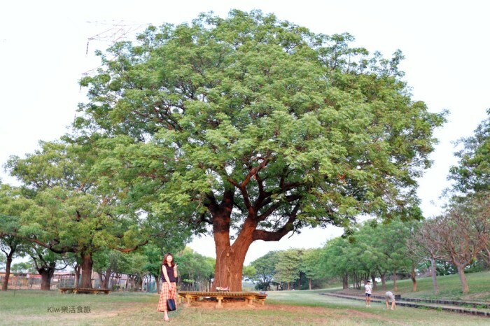 彰化Liki cafe&restaurant 西餐小館｜彰化市美食推薦彰化巷弄美食近大埔商圈美食＆彰基商圈美食