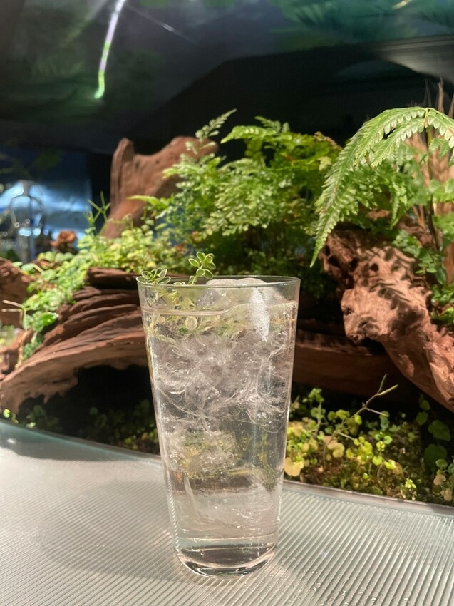 LINE_ALBUM_2023423 _1_230423_64.jpg LINE_ALBUM_2023423 _1_230423_64.jpg