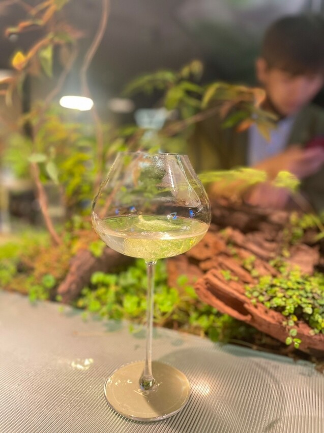 LINE_ALBUM_2023423 _1_230423_110.jpg LINE_ALBUM_2023423 _1_230423_110.jpg