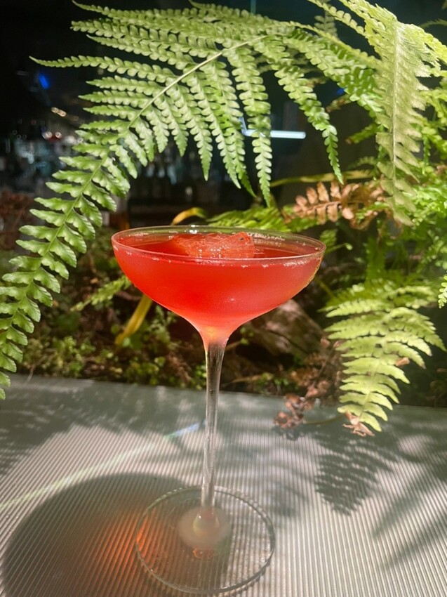 LINE_ALBUM_2023423 _1_230423_25.jpg LINE_ALBUM_2023423 _1_230423_25.jpg