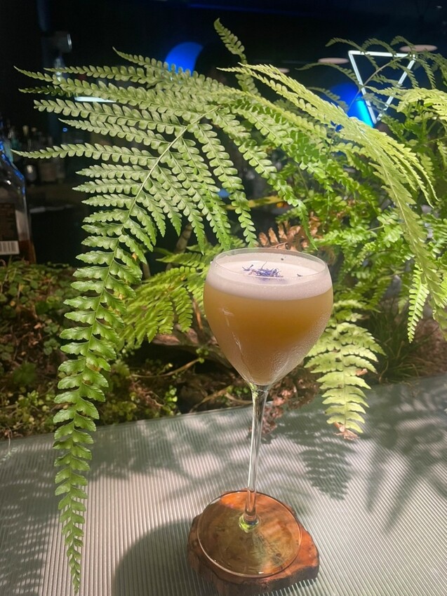 LINE_ALBUM_2023423 _1_230423_35.jpg LINE_ALBUM_2023423 _1_230423_35.jpg