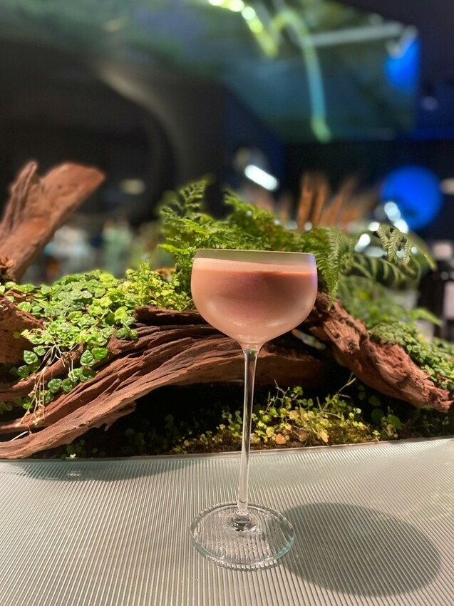 LINE_ALBUM_2023423 _1_230423_74.jpg LINE_ALBUM_2023423 _1_230423_74.jpg