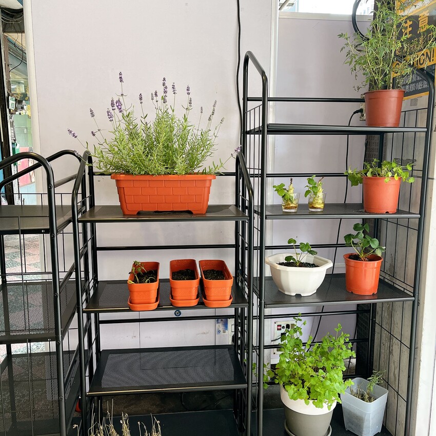 桃園車站異國料理推薦—蓬蓬熊工作室 印尼輕食料理，超獨特四種外面吃不到印尼醬料，一定要試試