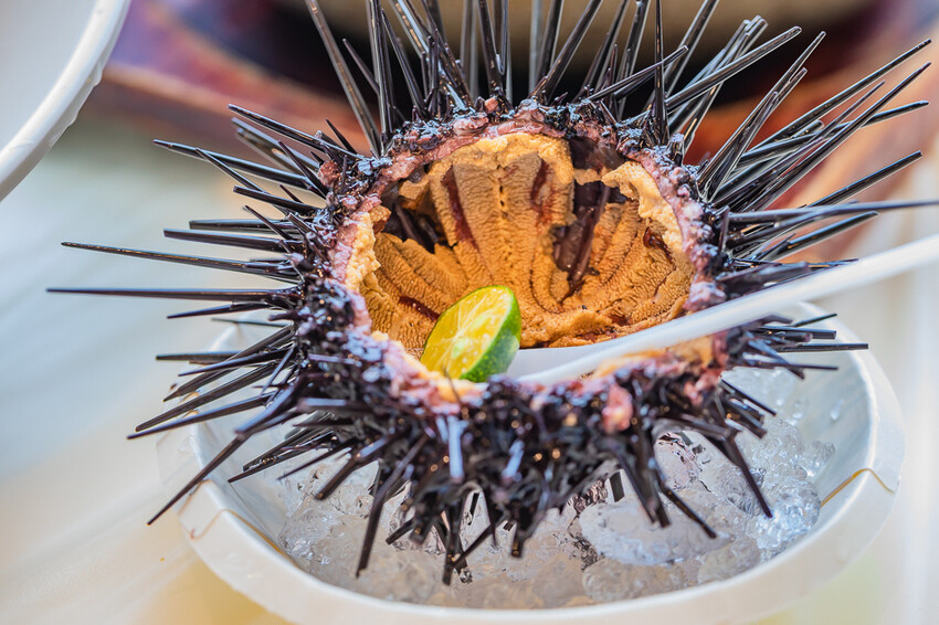 澎派水產 – 後壁湖必吃 x 100元澎湃生魚片 活跳跳新鮮海鮮 季節限定飛魚生魚片 超高CP值海產餐廳 大港入船