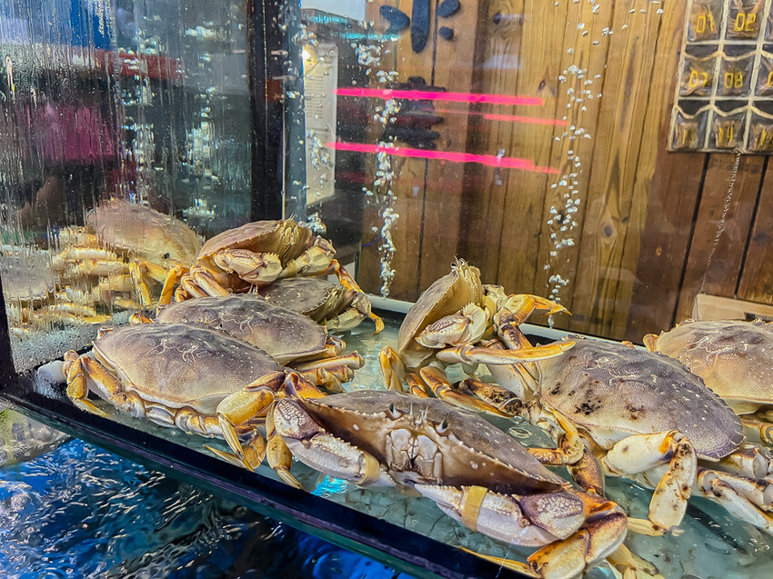 澎派水產 – 後壁湖必吃 x 100元澎湃生魚片 活跳跳新鮮海鮮 季節限定飛魚生魚片 超高CP值海產餐廳 大港入船