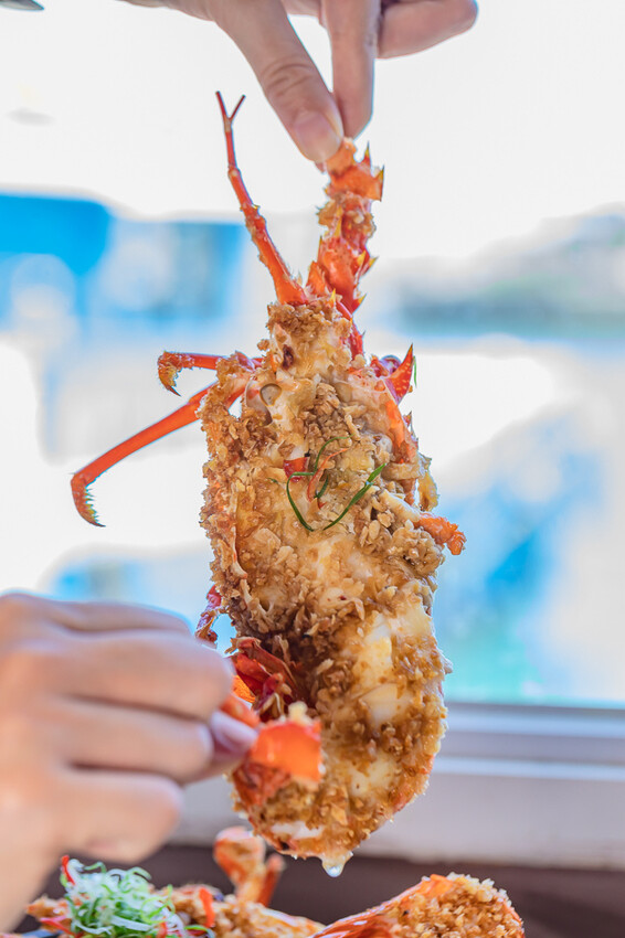 澎派水產 – 後壁湖必吃 x 100元澎湃生魚片 活跳跳新鮮海鮮 季節限定飛魚生魚片 超高CP值海產餐廳 大港入船