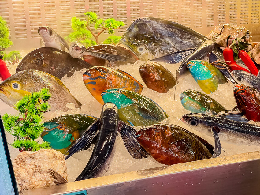 澎派水產 – 後壁湖必吃 x 100元澎湃生魚片 活跳跳新鮮海鮮 季節限定飛魚生魚片 超高CP值海產餐廳 大港入船