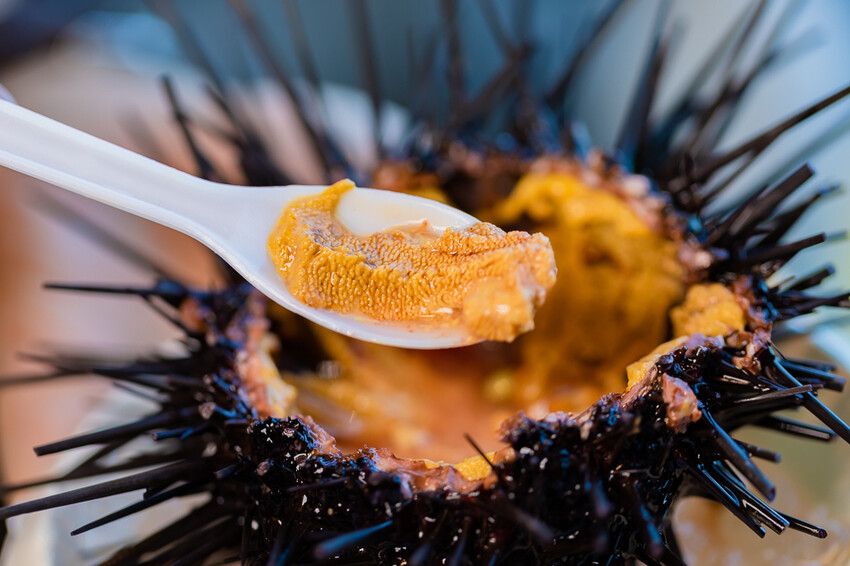 澎派水產 – 後壁湖必吃 x 100元澎湃生魚片 活跳跳新鮮海鮮 季節限定飛魚生魚片 超高CP值海產餐廳 大港入船