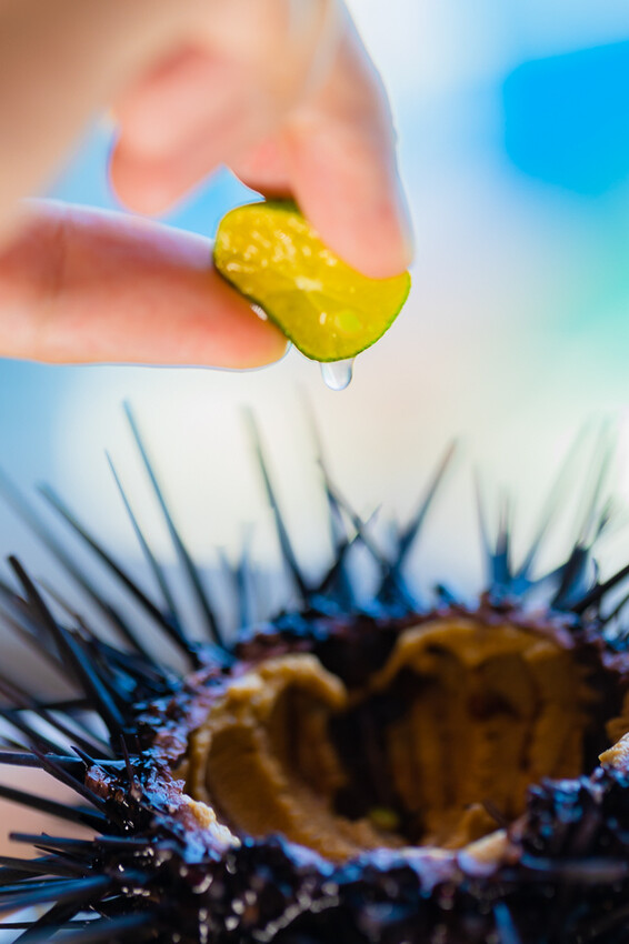 澎派水產 – 後壁湖必吃 x 100元澎湃生魚片 活跳跳新鮮海鮮 季節限定飛魚生魚片 超高CP值海產餐廳 大港入船