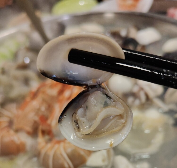 新竹最浮誇最強火鍋「石憶食鍋」1999Enjoy痛風海鮮鍋太狂啦！壽星送蝦、懷舊打卡氛圍一次滿足！