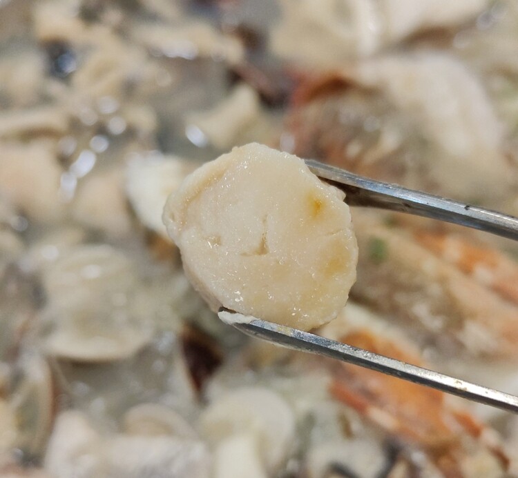 新竹最浮誇最強火鍋「石憶食鍋」1999Enjoy痛風海鮮鍋太狂啦！壽星送蝦、懷舊打卡氛圍一次滿足！
