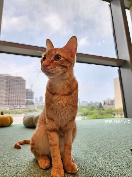 1683041449161.jpg 1683041449161.jpg