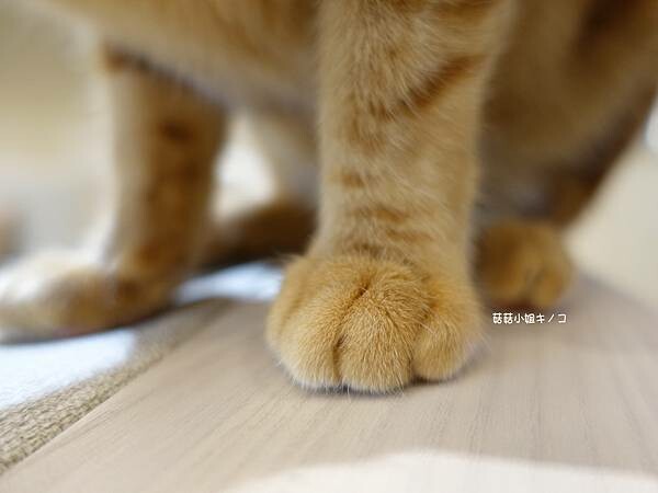 DSC06305.JPG DSC06305.JPG