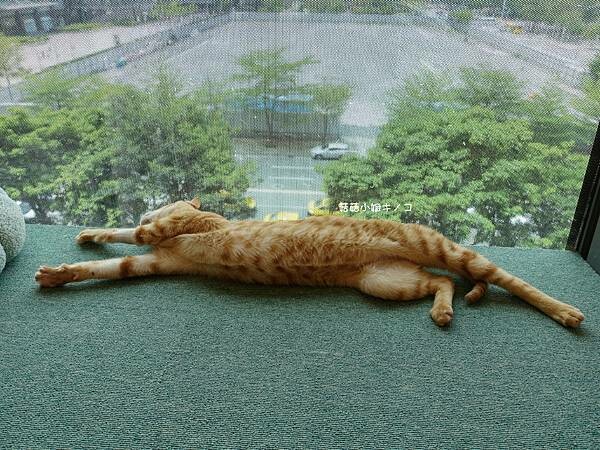 DSC06247.JPG DSC06247.JPG