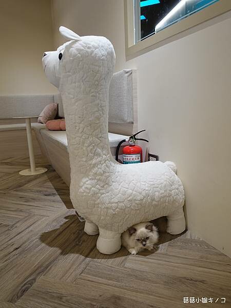 DSC06236.JPG DSC06236.JPG