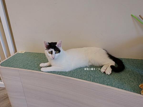 DSC06340.JPG DSC06340.JPG