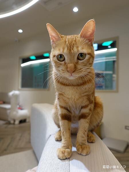 DSC06301.JPG DSC06301.JPG