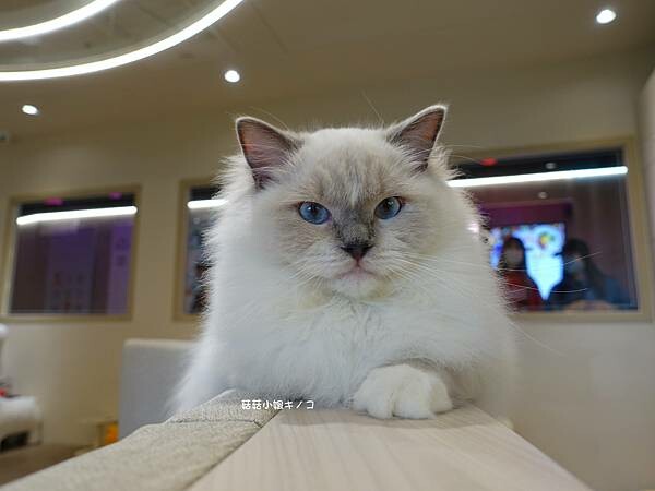 DSC06371.JPG DSC06371.JPG