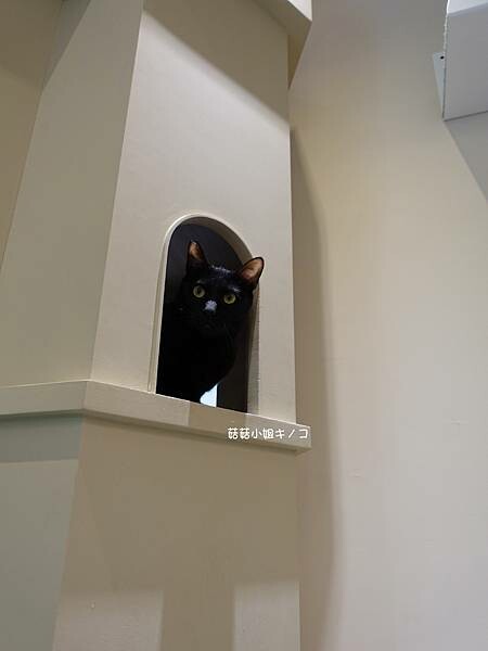 DSC06329.JPG DSC06329.JPG