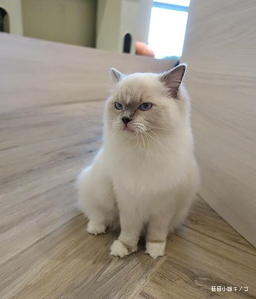 DSC06345.JPG DSC06345.JPG