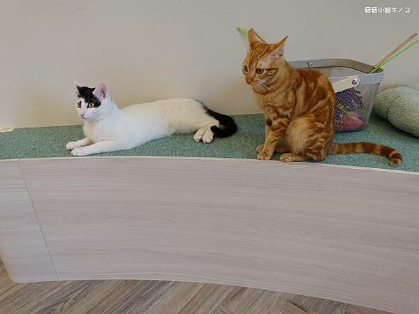 DSC06341.JPG DSC06341.JPG