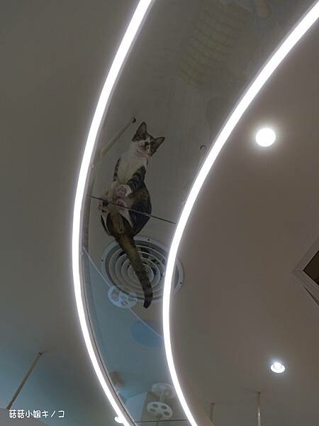 DSC06293.JPG DSC06293.JPG