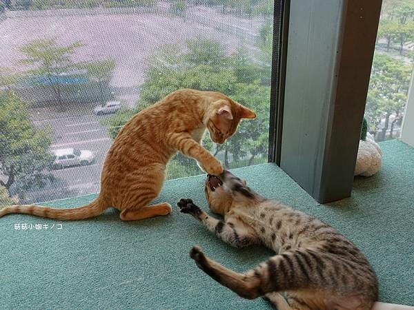 DSC06258.JPG DSC06258.JPG