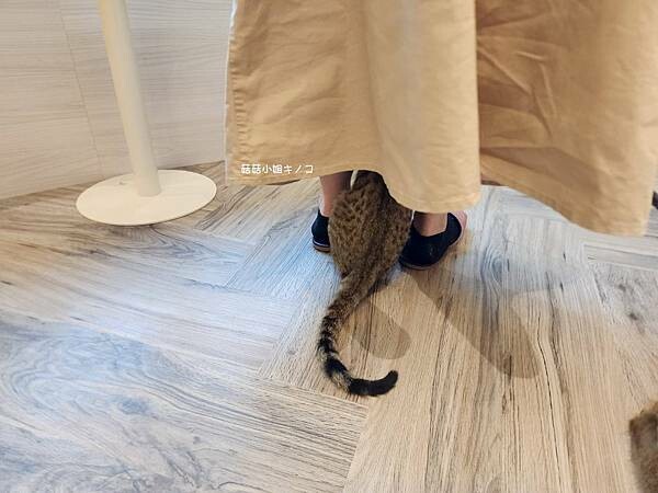 1683041459571.jpg 1683041459571.jpg