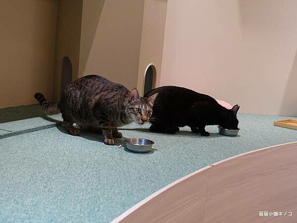 DSC06357.JPG DSC06357.JPG