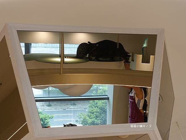 DSC06365.JPG DSC06365.JPG