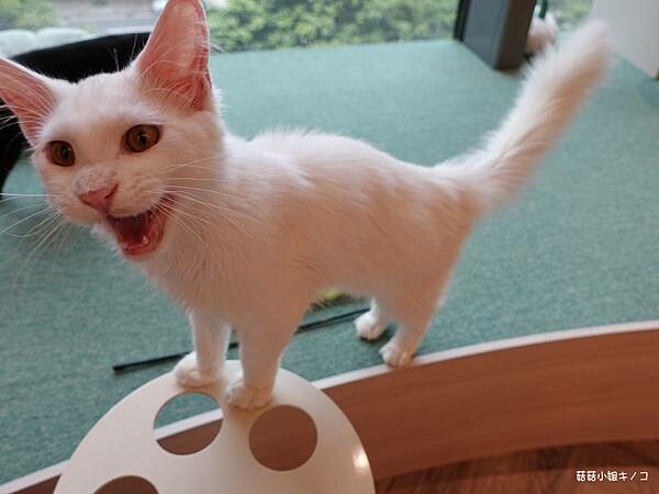 DSC06335.JPG DSC06335.JPG