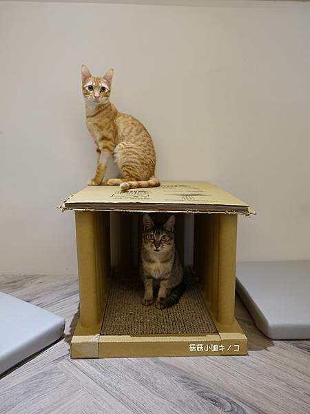 DSC06229.JPG DSC06229.JPG