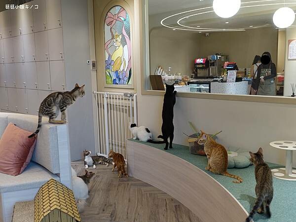 DSC06348.JPG DSC06348.JPG