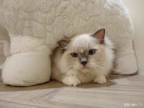 DSC06238.JPG DSC06238.JPG