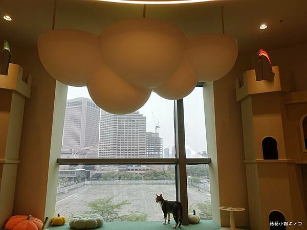 DSC06322.JPG DSC06322.JPG