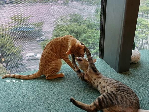 DSC06259.JPG DSC06259.JPG