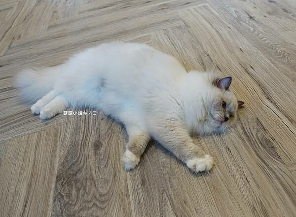 DSC06273.JPG DSC06273.JPG