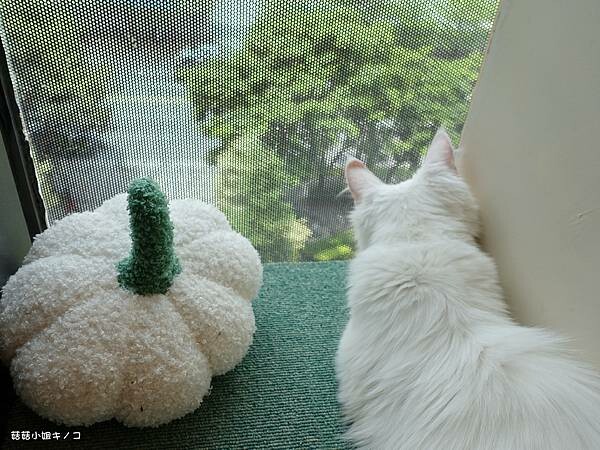 DSC06265.JPG DSC06265.JPG