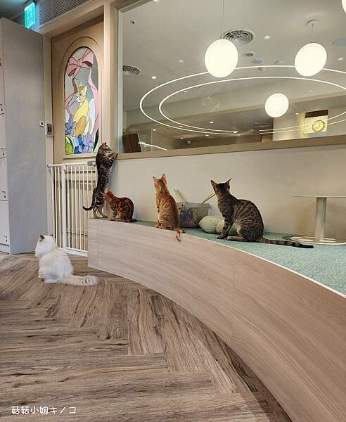 1683041450067.jpg 1683041450067.jpg